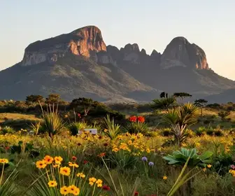 Cavalcante (GO): seu guia completo para explorar a região
