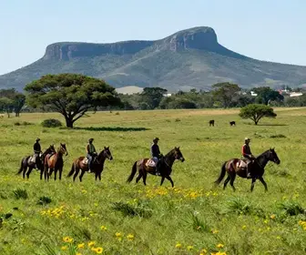 Cavalgadas no DF: Planeje Sua Experiência de Turismo Rural