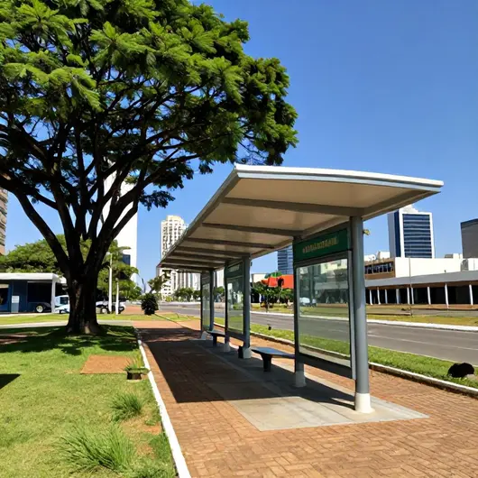 Descubra a Sociedade de Transportes Coletivos de Brasília Ltda