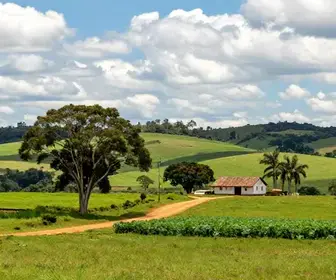 Descubra Brazlândia: Atrações e a Identidade Rural do DF Descubra Brazlândia: Atrações e a Identidade Rural do DF