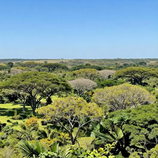 Descubra o Parque Nacional de Brasília