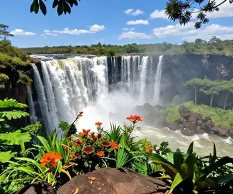 Descubra o Salto do Itiquira: O Guia Completo de Visita
