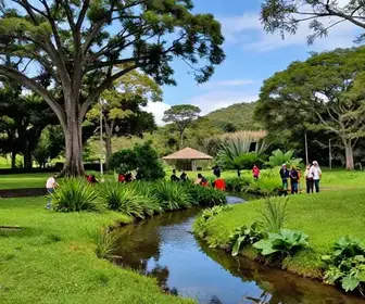 Estação Ecológica de Águas Emendadas: um paraíso para a educação ambiental e conservação