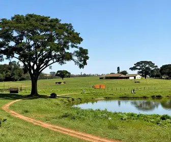 Explore os Melhores Destinos de Turismo Rural em Brasília Explore os Melhores Destinos de Turismo Rural em Brasília